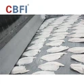 Congélateur tunnel à plaques de chaîne de 750 kg/h - La pierre angulaire de l'exportation-Qualité rapide-Congélation pour les filets de poisson indonésiens