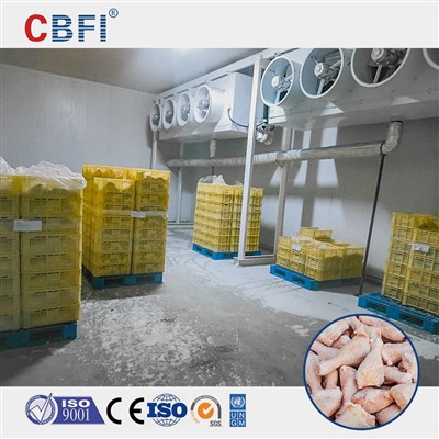 Grand abattoir de rangement froid alimentations froides personnalisées pour différentes salles de rangement froid